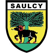 (c) Saulcy.ch