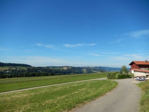 paysage-prairie-route-saulcy-suisse-2